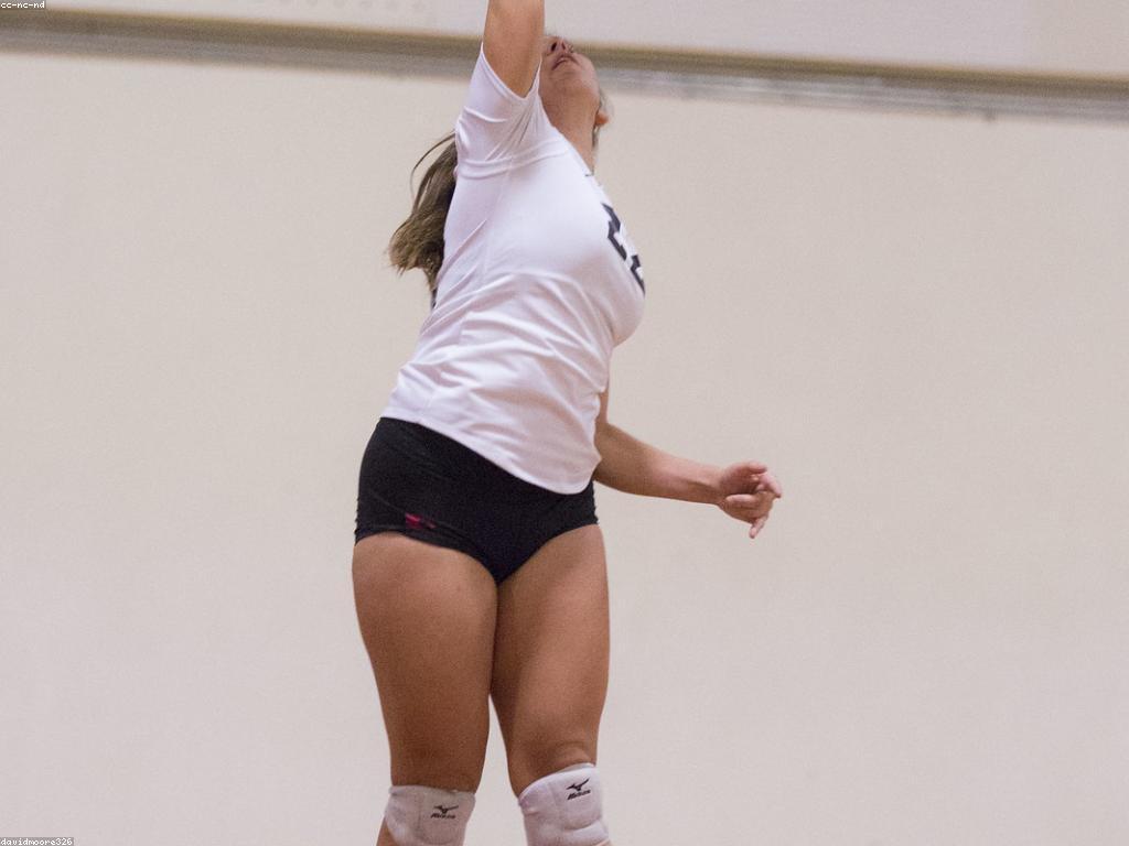 វិធីសាស្រ្តក្នុងការវិភាគហ្គេម